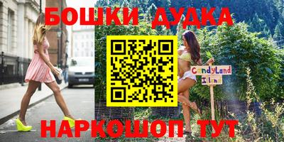 индика Изобильный