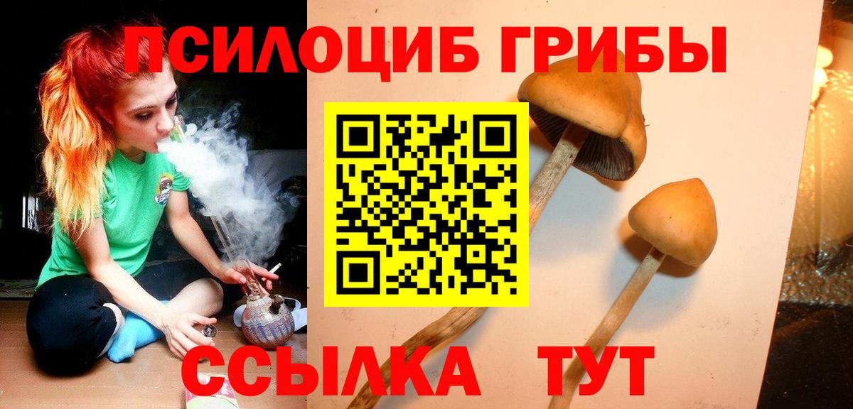Псилоцибиновые грибы мицелий  Вход с VPN  Лосино-Петровский 